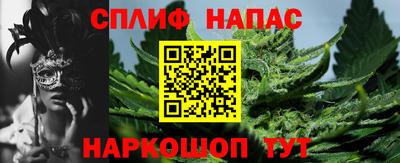 прущие грибы Гусев