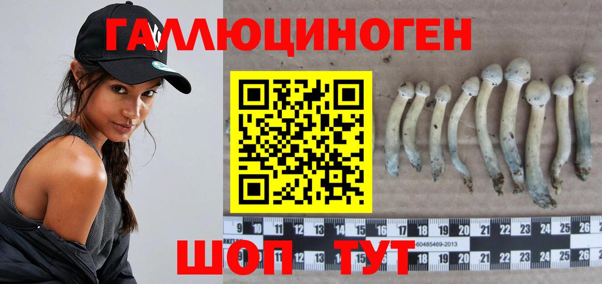 Псилоцибиновые грибы GOLDEN TEACHER Азов