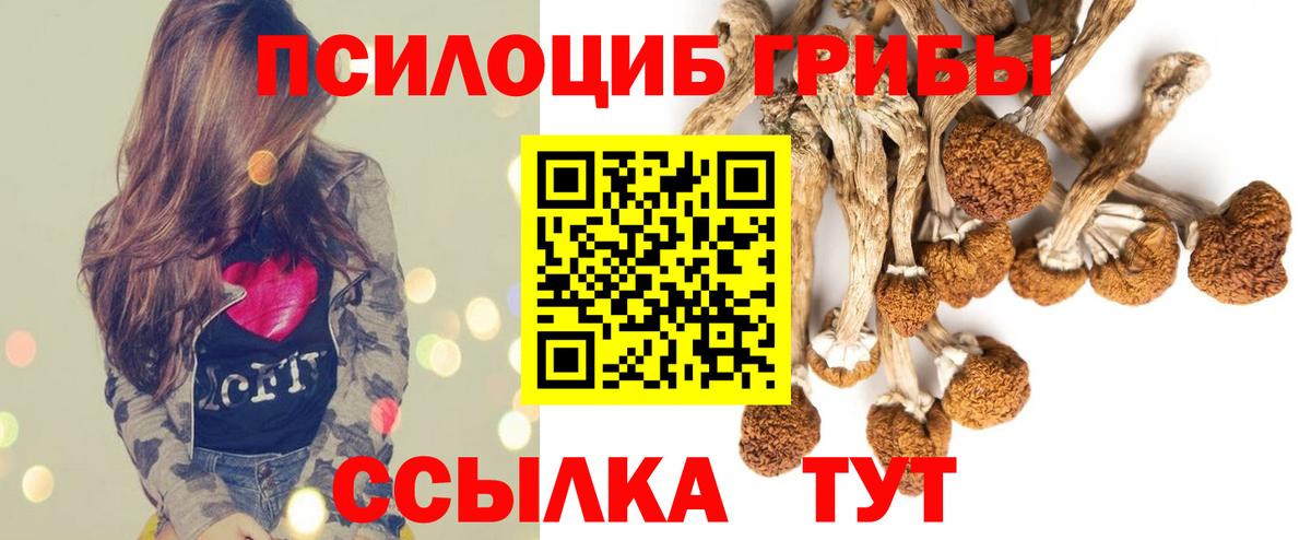 Галлюциногенные грибы GOLDEN TEACHER  Вход с VPN  Азов 